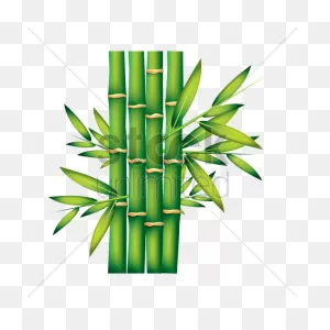 Bamboo Shoots Vector Image - 1946256 | Stockunlimited
