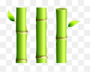 Bamboo Clipart One - Png Download - Full Size Clipart (#2689147 ClipartFlare.com 