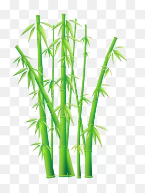 Forgetmenot: Bamboo - ClipartFlare - ClipartFlare