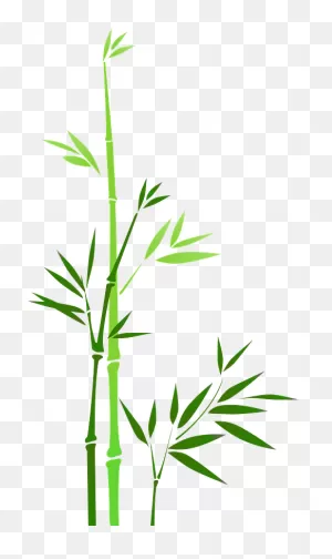 Green Bamboo Clipart. Free Download Transparent .png | ClipartFlare