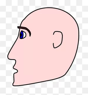 Man Bald Head - Free Vector Graphic On ClipartFlare