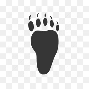 Back-Paw, Bear, Foot, Trace Icon - Download On Iconfinder
