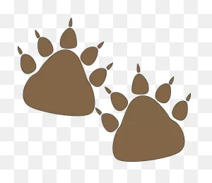 Bear Paw Prints Clip Art - Bear Paw Prints Image