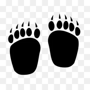 Bear Paw Prints Sticker
