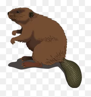 Animals Clip Art By Phillip Martin, Beaver
