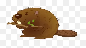 Beaver Standing Animal - Free Vector Graphic On ClipartFlare