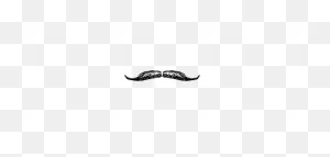 Beard Styles In Comparison | ClipartFlare Blog
