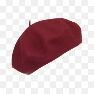 Classic Wool Beret (Osfm)