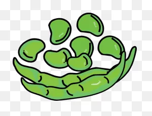 Free Bean Cliparts, Download Free Bean Cliparts Png Images, Free ClipartFlare.com 