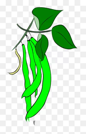 Green Beans Clipart - Clipart Suggest