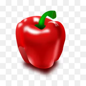 Bell Pepper Clip Art Image - Clipsafari