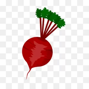 Beet | Free PNG-WebP