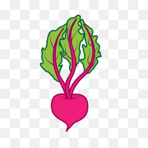 Beet Clipart - Clipart Suggest