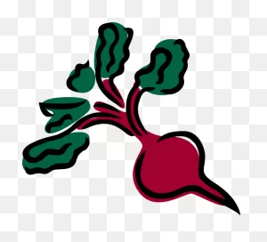 Beetroot Clipart Clip Art - Beet Clipart Png Transparent Png ClipartFlare.com 