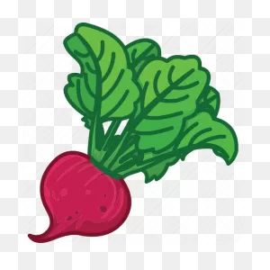 Beet, Beet Juice, Beet Root, Beet Salad, Vegetables Icon Icon ClipartFlare.com 
