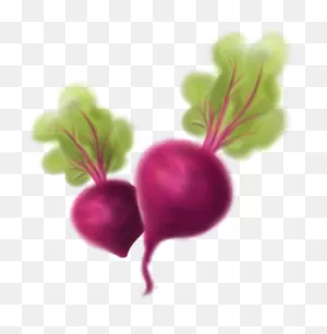 Beets Png - Beet Greens Clipart - Full Size Clipart (#3621545 ClipartFlare.com 
