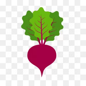 Beet, Beetroot, Beets, Leaves, Sugar, Vegetable, Radish Icon ClipartFlare.com 