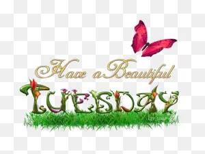 Tuesday Good Morning Images With Best Sayings Nice Wishes