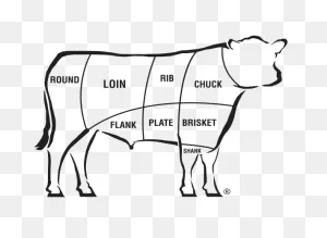 Basics Of Beef Cuts | Certified Angus Beef® Brand | Angus Beef At ClipartFlare.com 