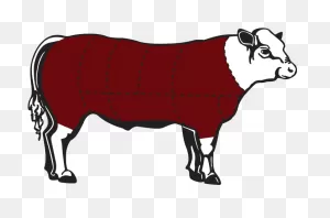 Split Side Of Beef Clipart PNG-WebP Transparent Purchase - Cattle - Png ClipartFlare.com 