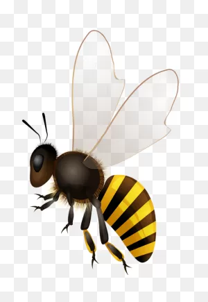 Bee Insect Bee Pollinator Clipart - Bee Clipart Animals Clip Art
