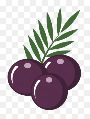 Acai Berries Clipart. Free Download Transparent .png | ClipartFlare