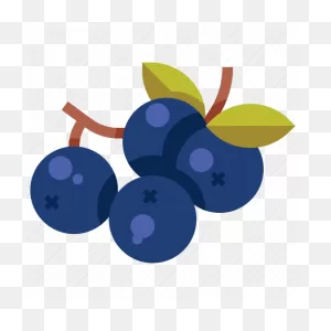 Berries, Berry, Blueberry, Fruit, Nature, Organic Icon - Download On ClipartFlare.com 
