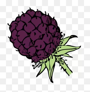 Wild Berries Royalty Free Vector Clip Art Illustration -Vc031994 ClipartFlare.com 