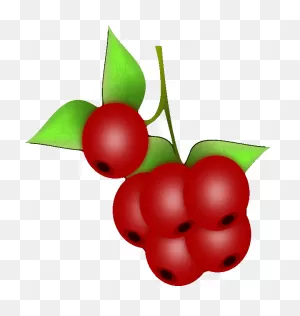 Wow™ Berries - Sunset Grown. All Rights Reserved.
