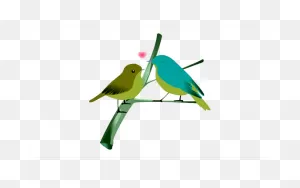 Download Hd Love Birds Png - Love Bird Png Hd Transparent Png ClipartFlare.com 