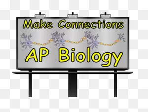 Ap Biology Clip Art At ClipartFlare ClipartFlare.com - Vector Clip Art Online, Royalty ClipartFlare.com 