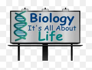 Biology Clipart - Clipart Suggest