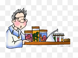 Biology Clipart - ClipartFlare