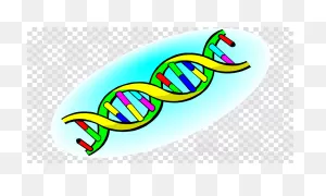 Life Science Clipart Biology Clipart Clip Art - Related To ClipartFlare.com 