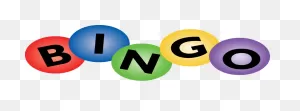 What Is Bingo Night?