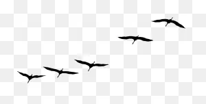 Crane Bird Flying Flock Of Birds - Free Vector Graphic On ClipartFlare