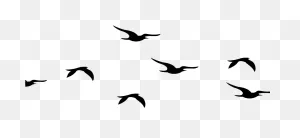 Flying Birds Silhouette Png Clipart - Full Size Clipart (#4210104 ClipartFlare.com 