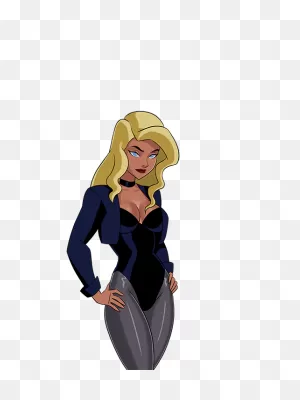 Black Canary | Dc Comics Girls, Dc Comics Superheroes, Comics Girls