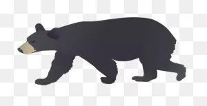 Pin By Caity Booman On Wedding | Bear Art, Bear Drawing, Art Clipart