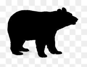 Polar Bear Brown Bear American Black Bear Vector Graphics - Black ClipartFlare.com 