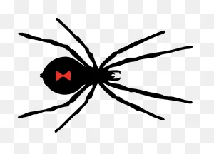 Black Widow Spider - Free Vector Graphic On ClipartFlare