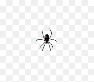 Black Widow Spider (101432) Free PNG-WebP Download / 4 Vector