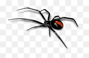 Best Spider Clipart #29797 - Clipartion ClipartFlare.com | Spider Clipart ClipartFlare.com 