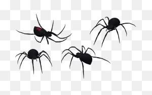 Black Widow Spider Set 09 | Black Widow Spider Tattoo, Spider ClipartFlare.com 