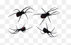 Free Black Widow Spider Art, Download Free Black Widow Spider Art ClipartFlare.com 