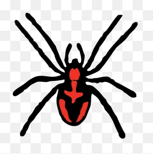 Spider Black Widow Bugs - Free Vector Graphic On ClipartFlare