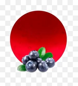 20  Free Blueberries & Blueberry Vectors