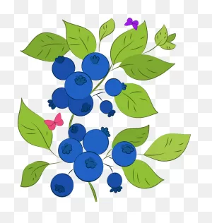 Blueberry Clipart. Free Download Transparent .png | ClipartFlare