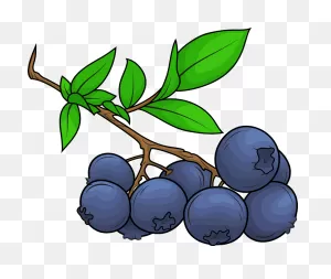 Blueberry Clipart. Free Download Transparent .png | ClipartFlare