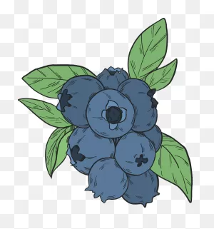Blueberry Comminuted - Lemon Concentrate